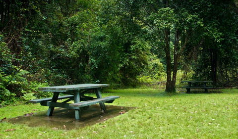 Williams River Picnic Area - Tourism Caloundra 0