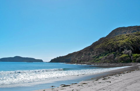 Yacaaba Headland Walking Track - Tourism Caloundra 0