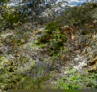 Yarrambat Park - Tourism Caloundra