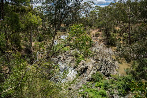Yarrambat Park - Tourism Caloundra 0
