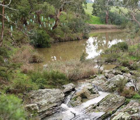 Yarrambat Park - Tourism Caloundra 1