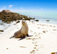 Abrolhos Islands - Tourism Caloundra