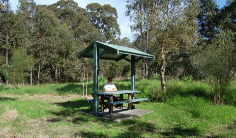 Alexanders Picnic Area - Tourism Caloundra 0