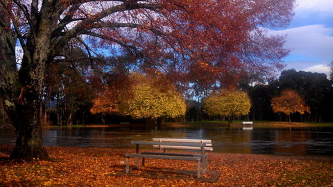 Bells Parade Reserve - Tourism Caloundra 0