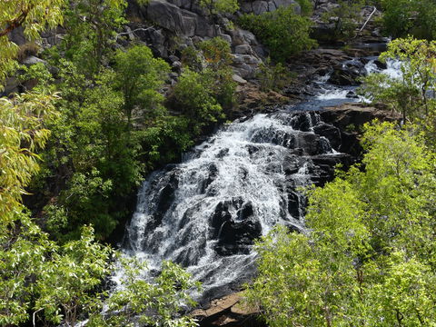 Biddlecombe Cascades - Tourism Caloundra 1