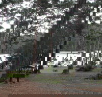 Big Brook Arboretum - Tourism Caloundra