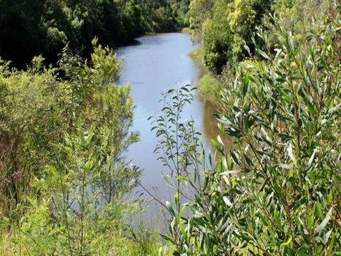 Blue Gum Hills Regional Park - Tourism Caloundra 1