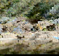 Boonoo Boonoo National Park - Tourism Caloundra