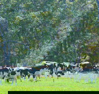 Boyanup - Tourism Caloundra