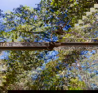 Bribie Island Bicentennial Trails - Tourism Caloundra