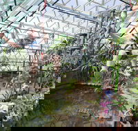 Cairns ZOOM and Wildlife Dome - Tourism Caloundra