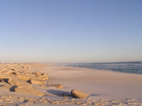 Chadinga Conservation Park - Tourism Caloundra 0