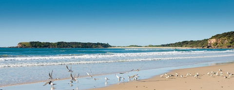 Chinamans Beach Evans Head - Tourism Caloundra 2