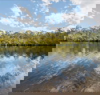 Cockatoo picnic area - Tourism Caloundra
