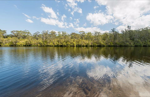 Cockatoo Picnic Area - Tourism Caloundra 0