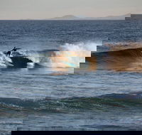 Coffs Coast State Park - Tourism Caloundra