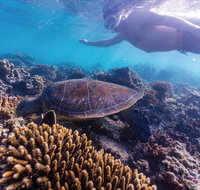 Complete Ningaloo Reef Experience - Tourism Caloundra