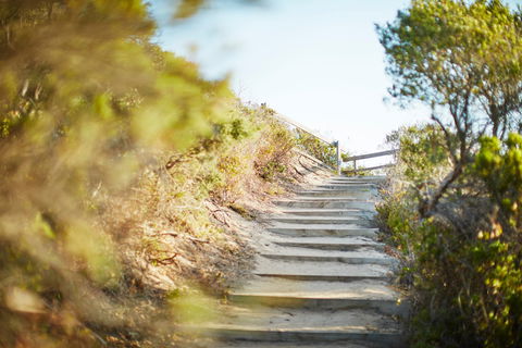 Coppins Walk Track (part Of The Coastal Walk) - Tourism Caloundra 0