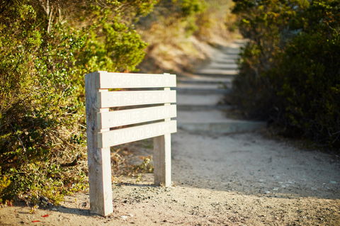 Coppins Walk Track (part Of The Coastal Walk) - Tourism Caloundra 1