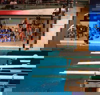 Dive Into History at Sydney Olympic Park Aquatic Centre - Tourism Caloundra