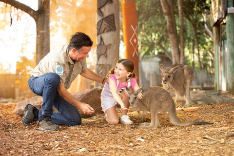 Dreamworld - Tourism Caloundra 2