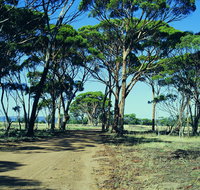 Dumbleyung - Tourism Caloundra