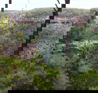 East Rim wildflower walking track - Tourism Caloundra