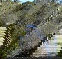 Falcon Crescent Link Track - Tourism Caloundra