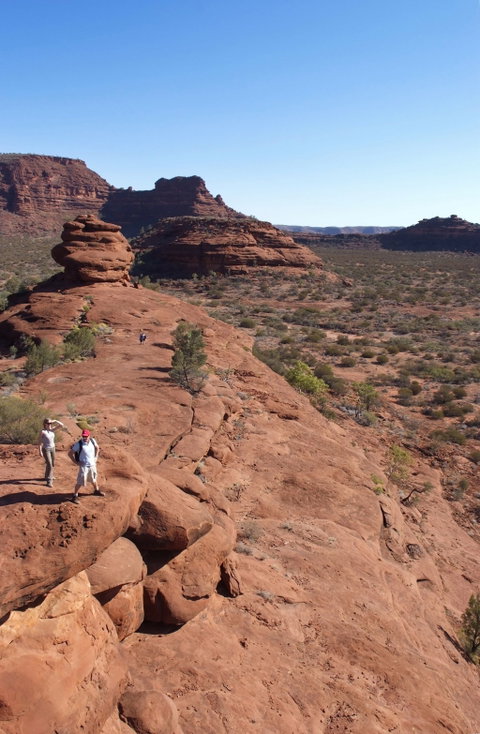 Finke Gorge National Park - Tourism Caloundra 0