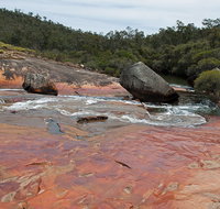 FR Berry Reserve - Tourism Caloundra