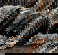 Geckostrands Textile Artist - Tourism Caloundra