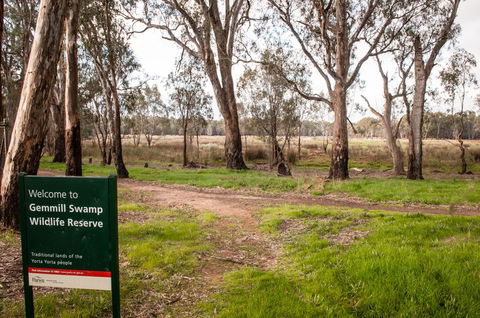 Gemmill Swamp Wildlife Reserve - Tourism Caloundra 0