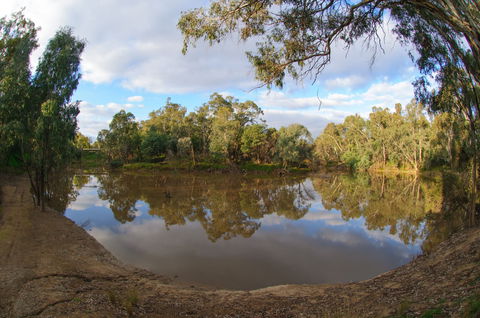 Gemmill Swamp Wildlife Reserve - Tourism Caloundra 1