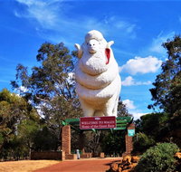 Giant Ram Park - Tourism Caloundra