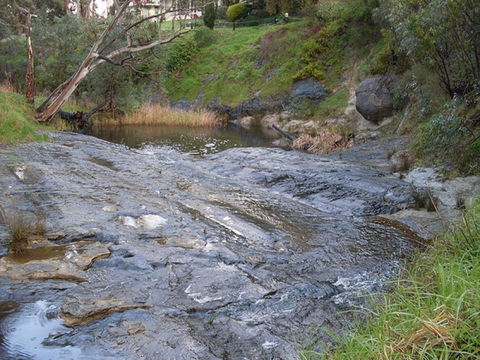 Glacier Rock - Tourism Caloundra 0