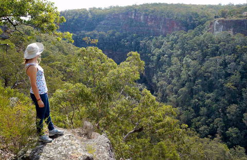 Glenbrook Gorge Track - Tourism Caloundra 0