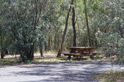 Goonoowigall State Conservation Area - Tourism Caloundra 0