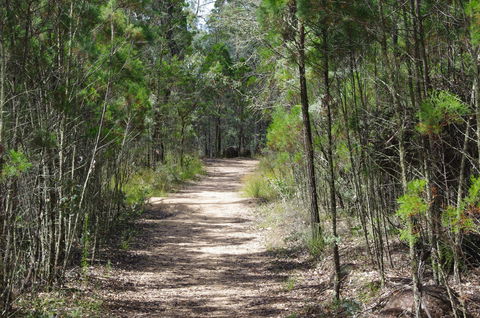 Goonoowigall State Conservation Area - Tourism Caloundra 1