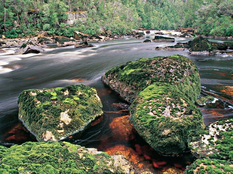 Gordon River - The - Tourism Caloundra 2