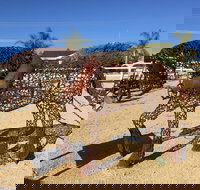 Gundersen Reserve - Tourism Caloundra