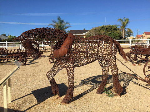 Gundersen Reserve - Tourism Caloundra 0