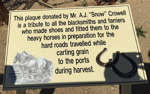 Gundersen Reserve - Tourism Caloundra 1