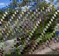 Herring Island Environmental Sculpture Park - Tourism Caloundra