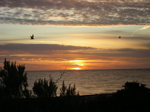 James Well - Tourism Caloundra 0