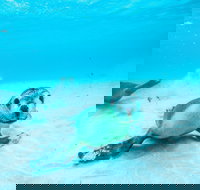 Jurien Bay - Tourism Caloundra