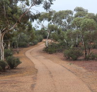 Karlkurla Bushland Park - Tourism Caloundra