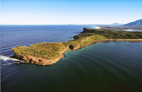 Kattang Nature Reserve - Tourism Caloundra 0