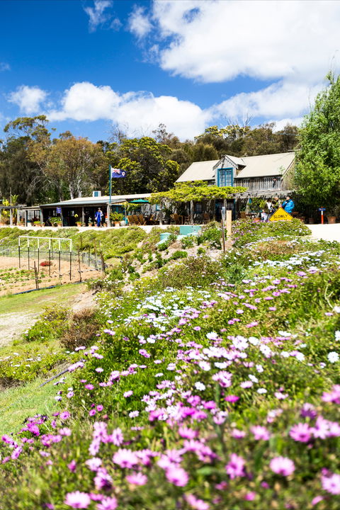 Kate's Berry Farm - Tourism Caloundra 0