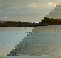 Lake Inverell Reserve - Tourism Caloundra