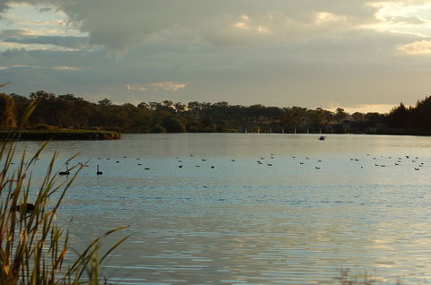 Lake Inverell Reserve - Tourism Caloundra 0